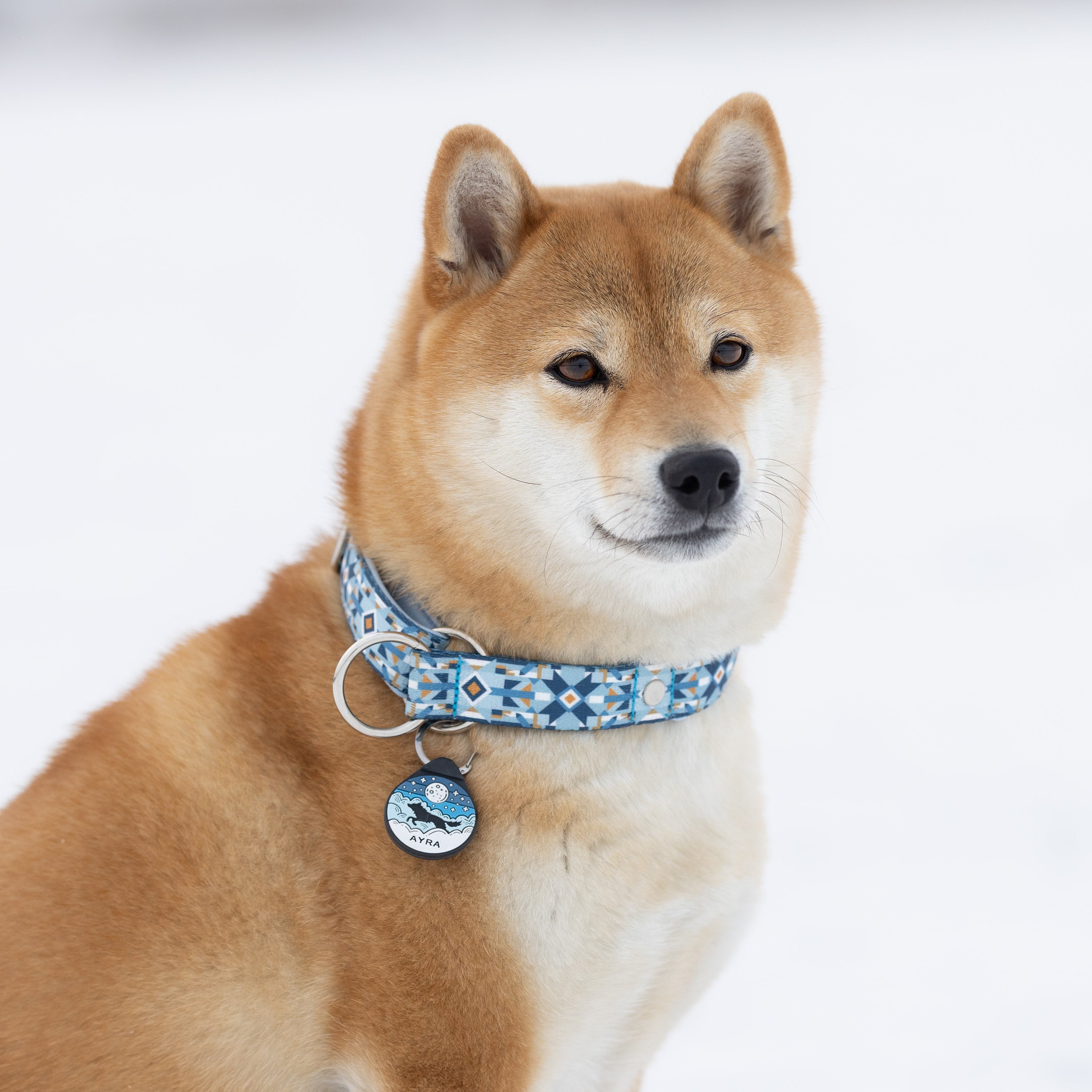 ADRESÓWKA DLA PSA | BLUE