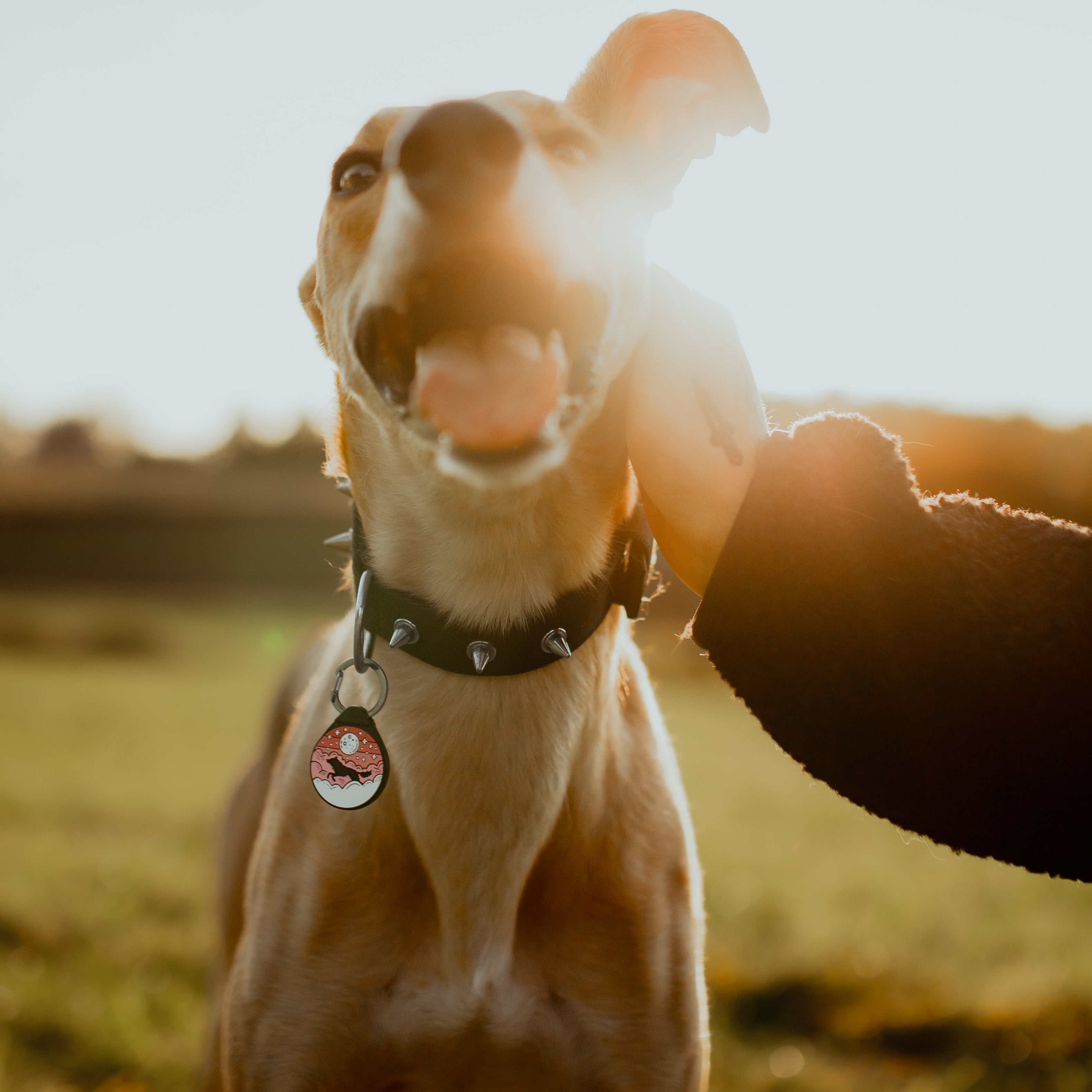 ADRESÓWKA DLA PSA | PINK
