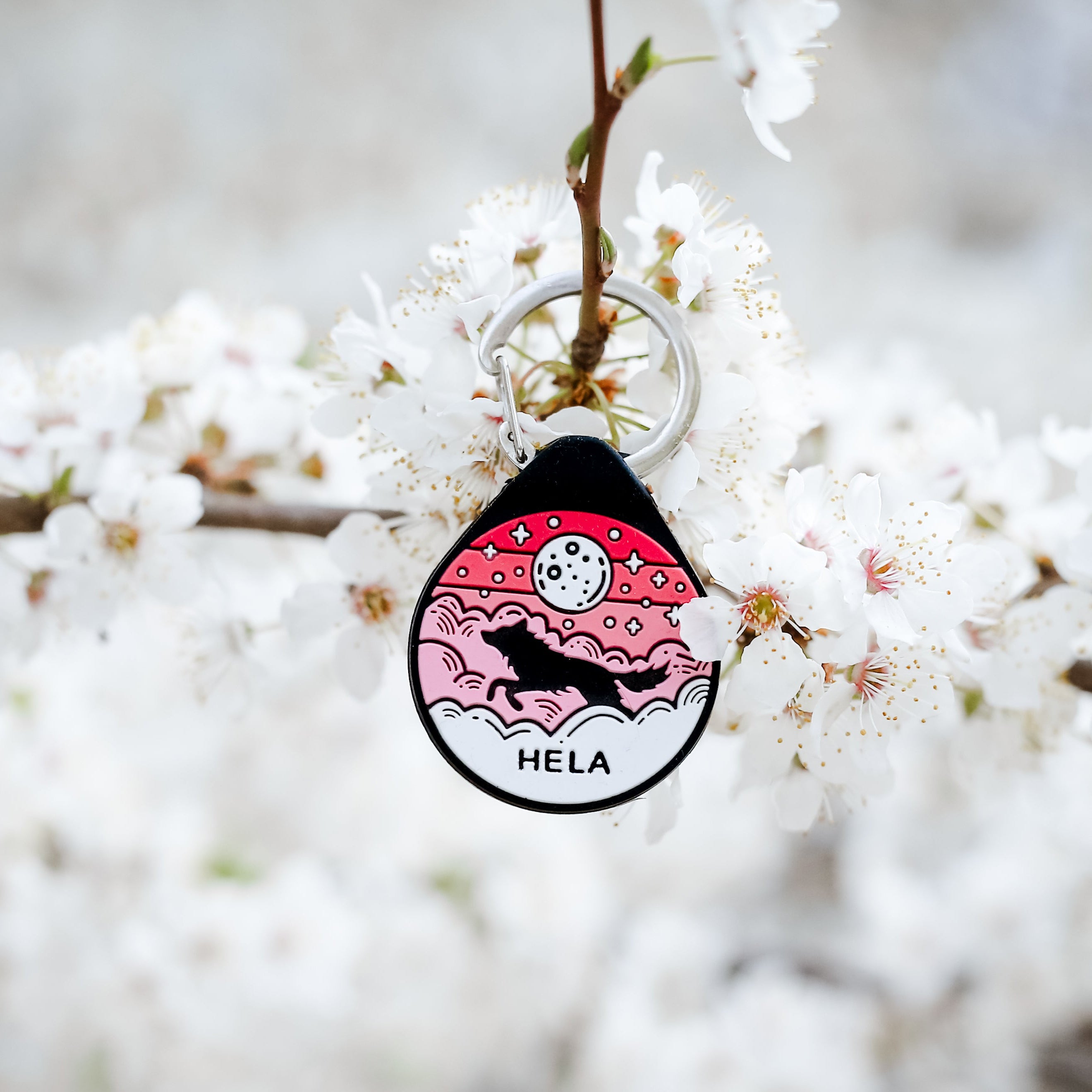 ADRESÓWKA DLA PSA | PINK