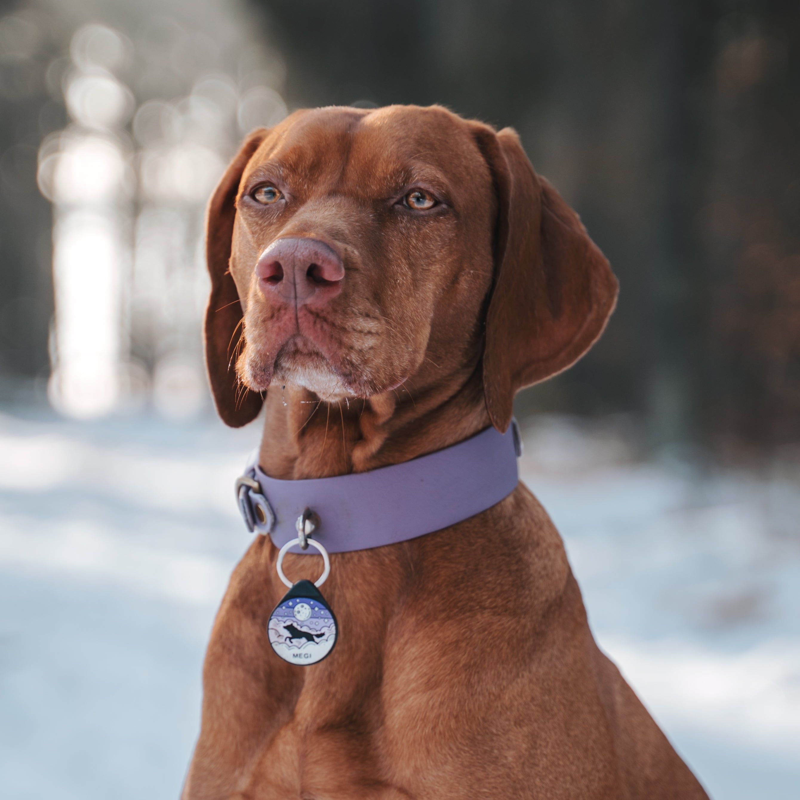 ADRESÓWKA DLA PSA | PURPLE