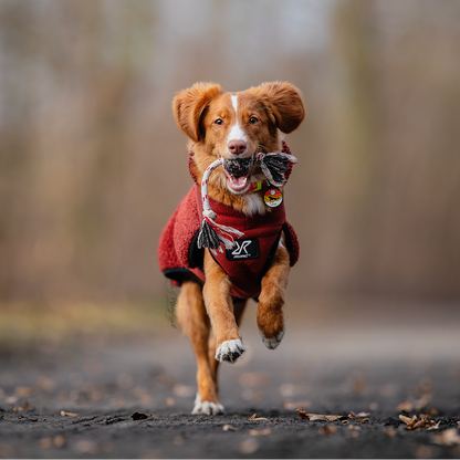 ADRESÓWKA DLA PSA | ORANGE