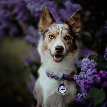 ADRESÓWKA DLA PSA | PURPLE